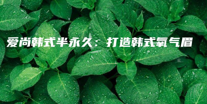 愛尚韓式半永久：打造韓式氧氣眉插圖