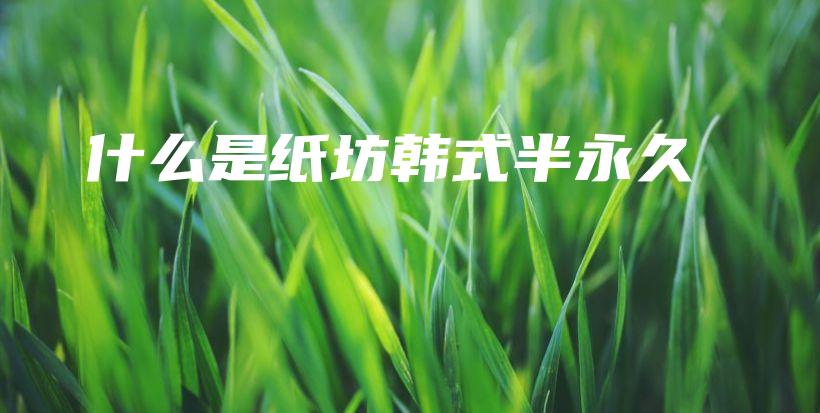 什么是紙坊韓式半永久插圖
