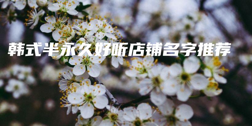 韓式半永久好聽店鋪名字推薦插圖