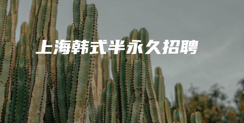 上海韓式半永久招聘插圖