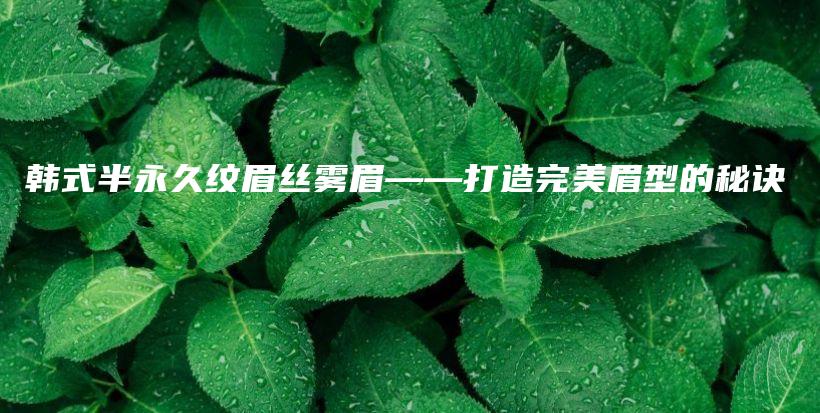韓式半永久紋眉絲霧眉——打造完美眉型的秘訣插圖