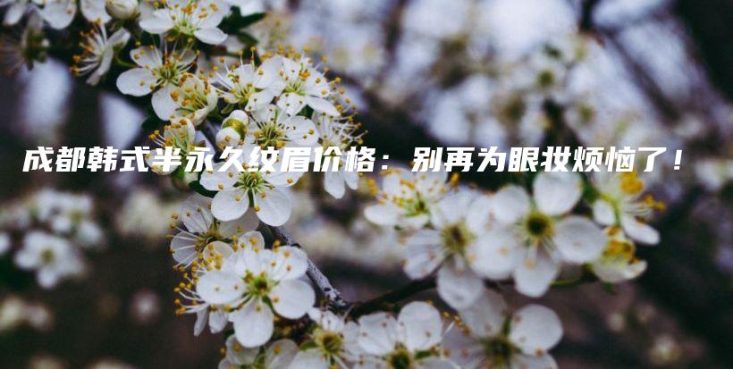 成都韓式半永久紋眉價格：別再為眼妝煩惱了！插圖