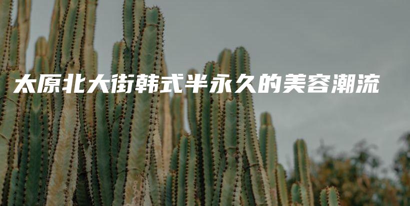 太原北大街韓式半永久的美容潮流插圖