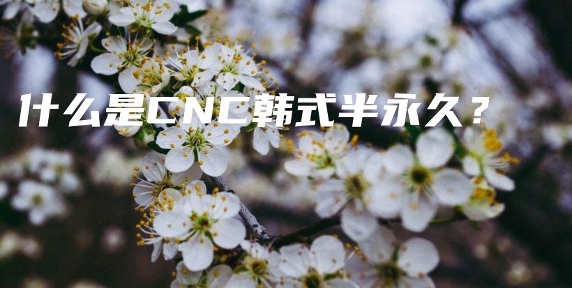 什么是CNC韓式半永久？插圖