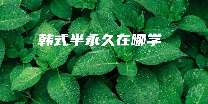 韓式半永久在哪學(xué)插圖