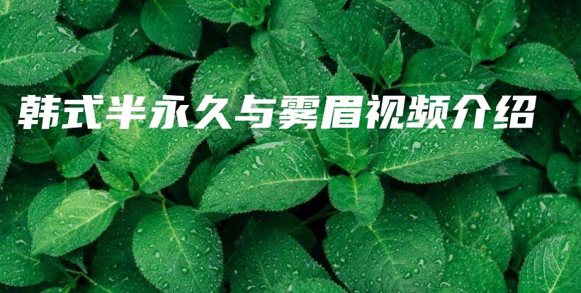 韓式半永久與霧眉視頻介紹插圖