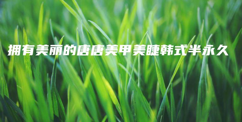 擁有美麗的唐唐美甲美睫韓式半永久插圖