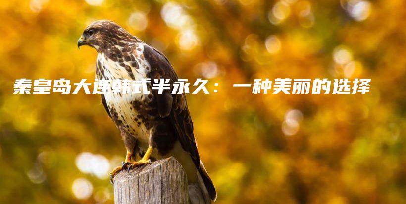 秦皇島大連韓式半永久：一種美麗的選擇插圖