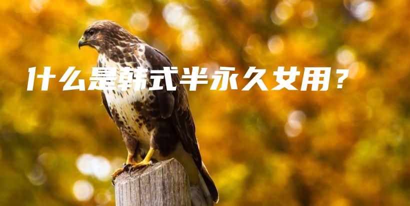 什么是韓式半永久女用？插圖