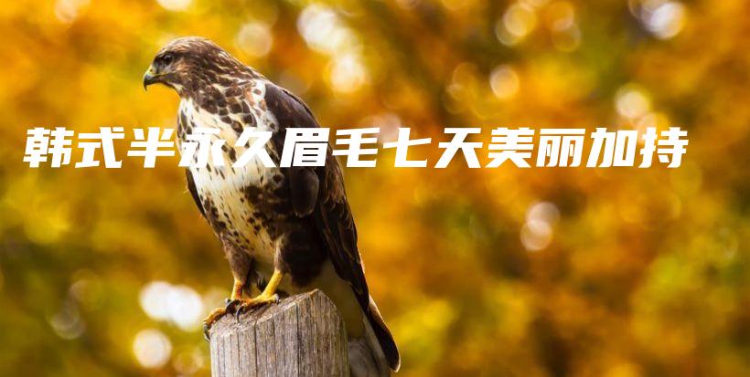韓式半永久眉毛七天美麗加持插圖