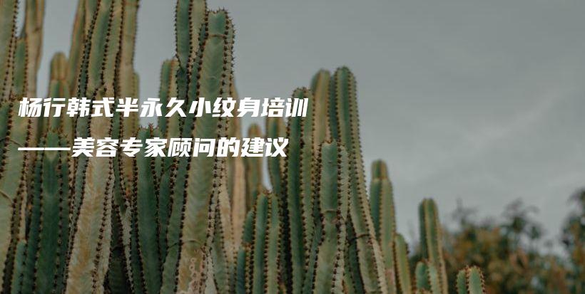 楊行韓式半永久小紋身培訓(xùn)——美容專家顧問的建議插圖