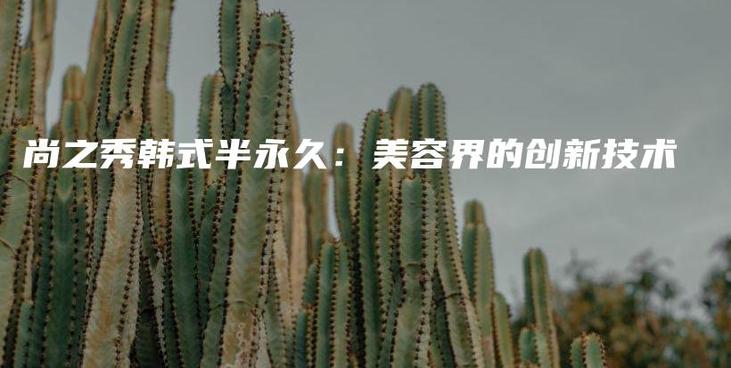 尚之秀韓式半永久：美容界的創(chuàng)新技術(shù)插圖