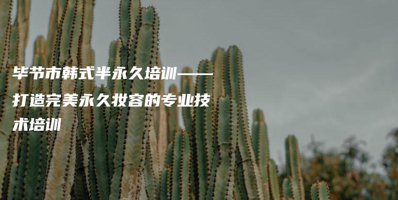 畢節(jié)市韓式半永久培訓(xùn)——打造完美永久妝容的專業(yè)技術(shù)培訓(xùn)插圖