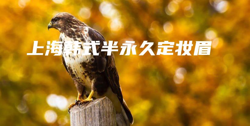 上海韓式半永久定妝眉插圖