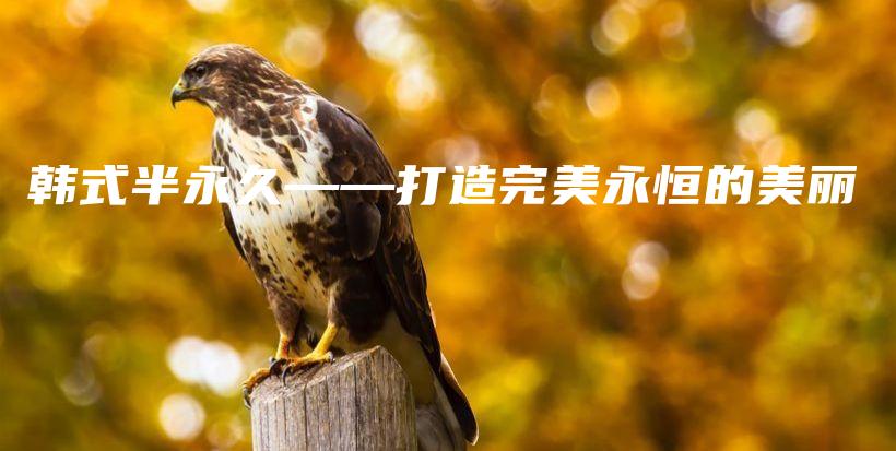 韓式半永久——打造完美永恒的美麗插圖