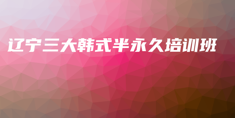 遼寧三大韓式半永久培訓(xùn)班插圖
