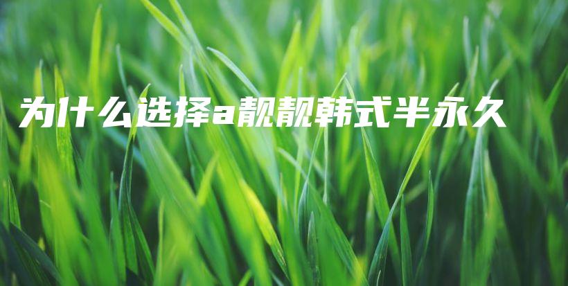 為什么選擇a靚靚韓式半永久插圖