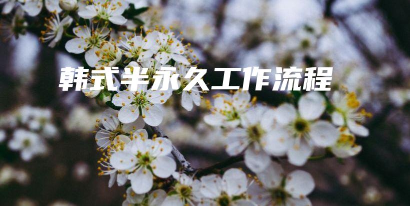 韓式半永久工作流程插圖