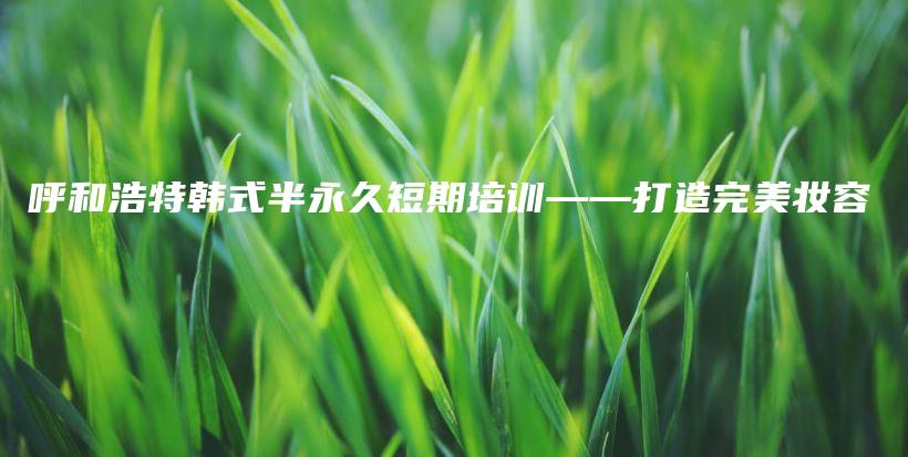 呼和浩特韓式半永久短期培訓——打造完美妝容插圖
