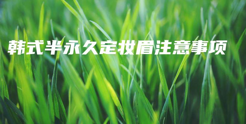 韓式半永久定妝眉注意事項(xiàng)插圖