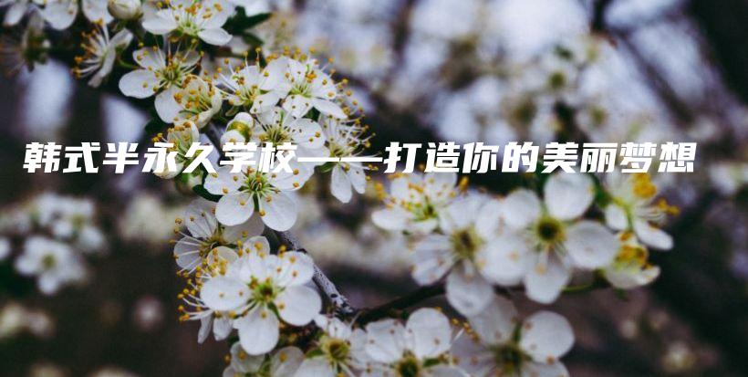 韓式半永久學(xué)校——打造你的美麗夢想插圖