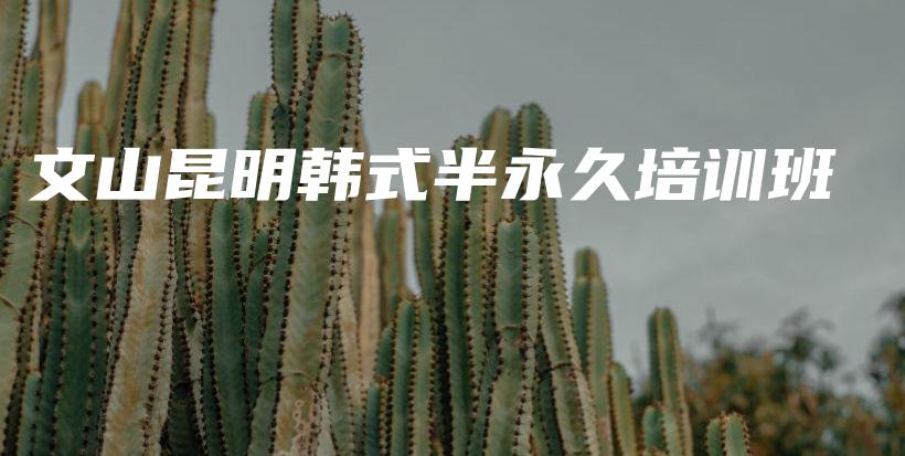 文山昆明韓式半永久培訓(xùn)班插圖
