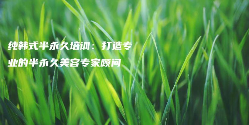 純韓式半永久培訓：打造專業(yè)的半永久美容專家顧問插圖