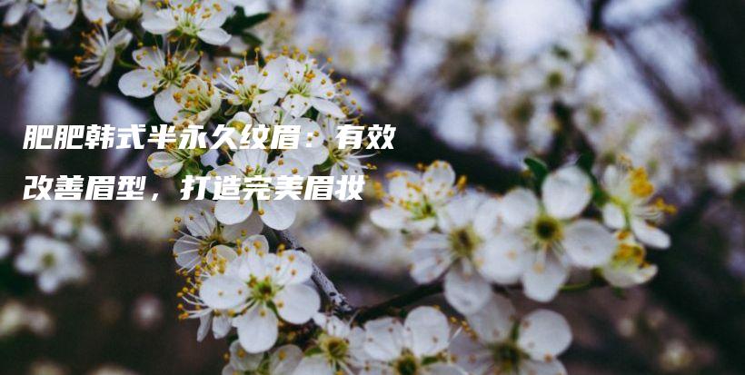 肥肥韓式半永久紋眉：有效改善眉型，打造完美眉妝插圖