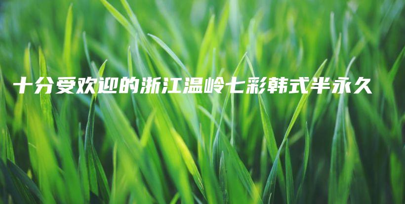 十分受歡迎的浙江溫嶺七彩韓式半永久插圖