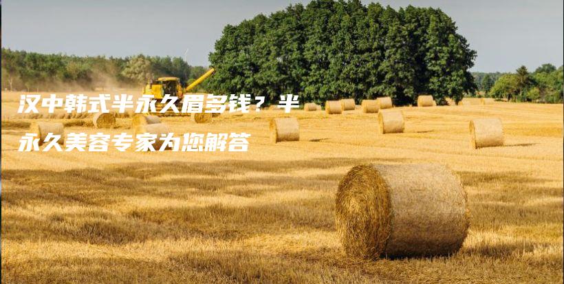 漢中韓式半永久眉多錢？半永久美容專家為您解答插圖
