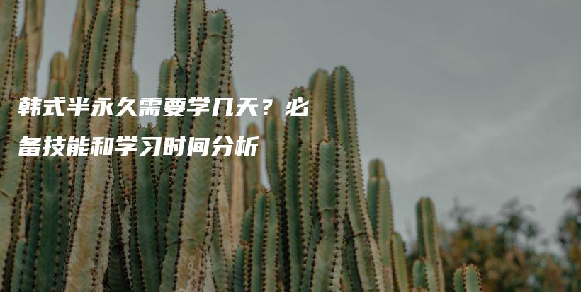韓式半永久需要學(xué)幾天？必備技能和學(xué)習(xí)時(shí)間分析插圖