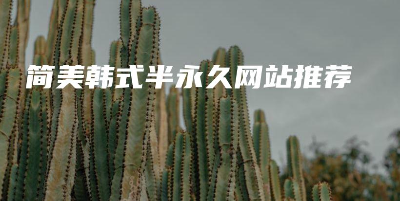 簡(jiǎn)美韓式半永久網(wǎng)站推薦插圖