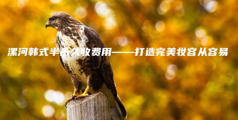 漯河韓式半永久收費(fèi)用——打造完美妝容從容易插圖