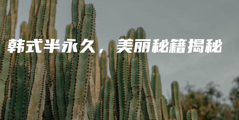韓式半永久，美麗秘籍揭秘插圖
