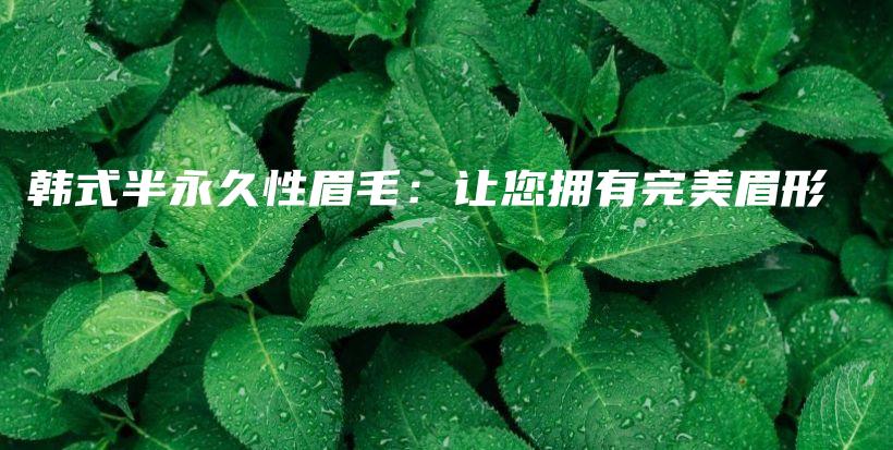 韓式半永久性眉毛：讓您擁有完美眉形插圖