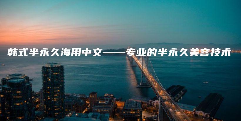 韓式半永久海用中文——專業(yè)的半永久美容技術插圖