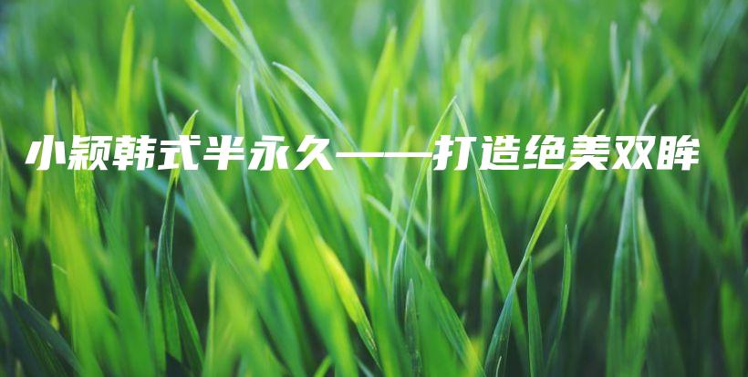 小穎韓式半永久——打造絕美雙眸插圖