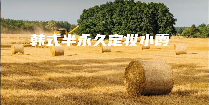 韓式半永久定妝小霞插圖