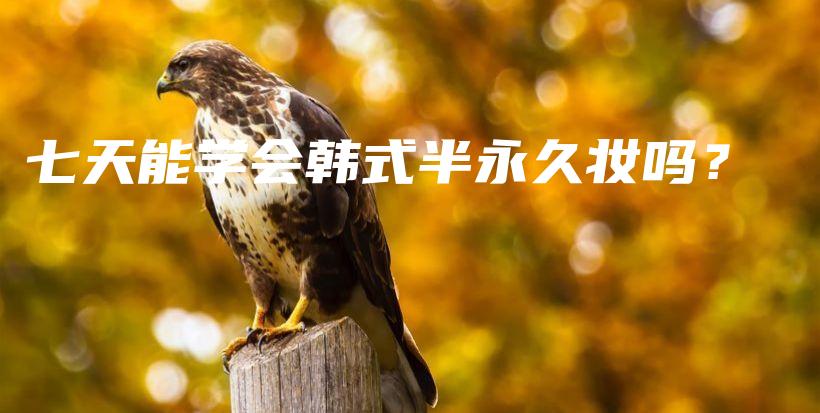 七天能學(xué)會(huì)韓式半永久妝嗎？插圖