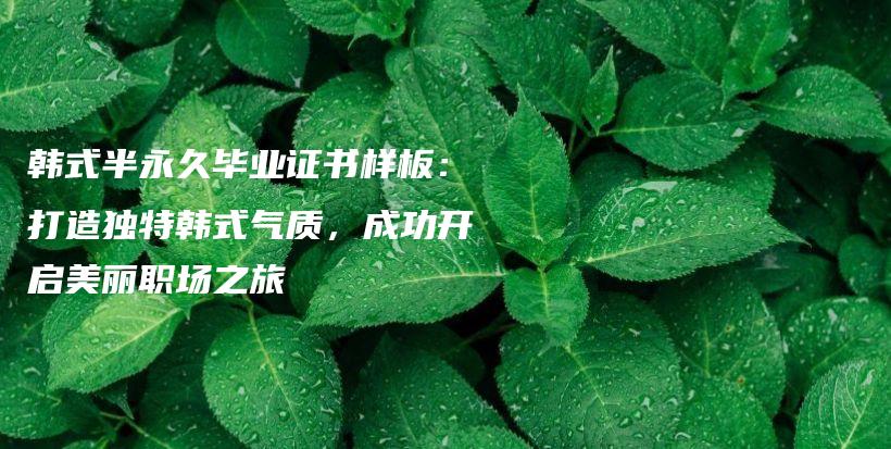 韓式半永久畢業(yè)證書樣板：打造獨(dú)特韓式氣質(zhì)，成功開啟美麗職場(chǎng)之旅插圖