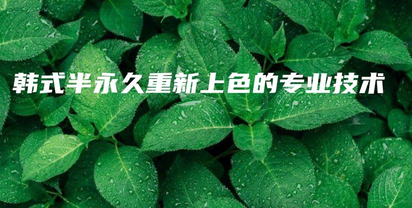 韓式半永久重新上色的專業(yè)技術(shù)插圖