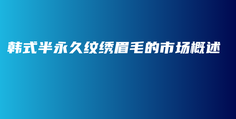 韓式半永久紋繡眉毛的市場(chǎng)概述插圖
