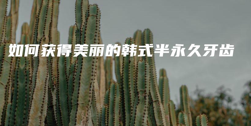 如何獲得美麗的韓式半永久牙齒插圖