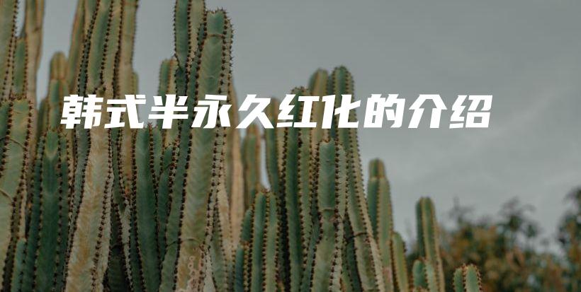 韓式半永久紅化的介紹插圖