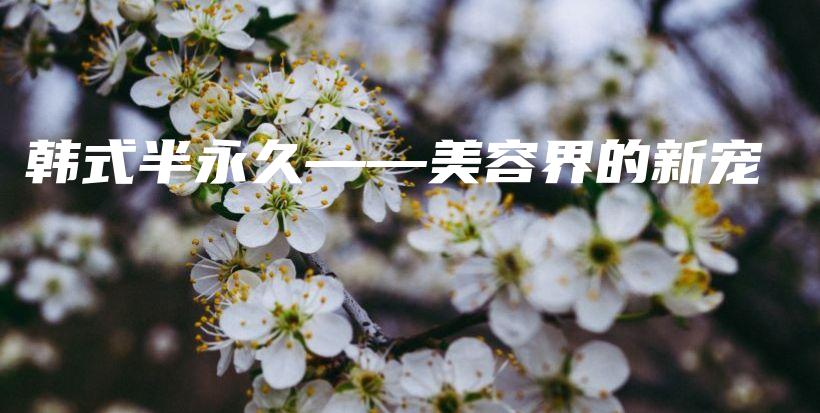 韓式半永久——美容界的新寵插圖