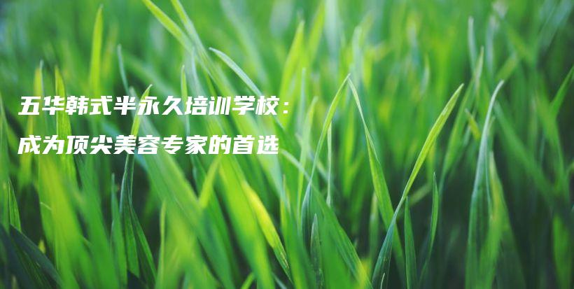 五華韓式半永久培訓(xùn)學(xué)校：成為頂尖美容專家的首選插圖