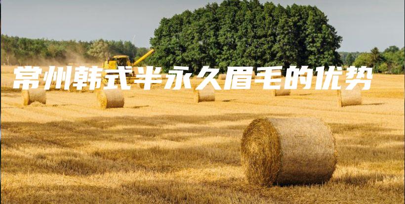 常州韓式半永久眉毛的優(yōu)勢(shì)插圖
