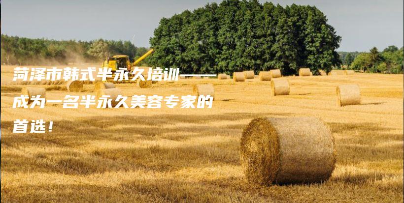 菏澤市韓式半永久培訓——成為一名半永久美容專家的首選！插圖