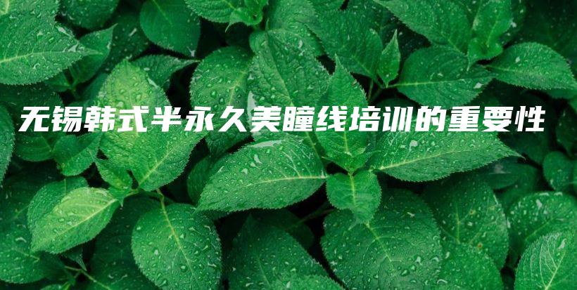無錫韓式半永久美瞳線培訓(xùn)的重要性插圖