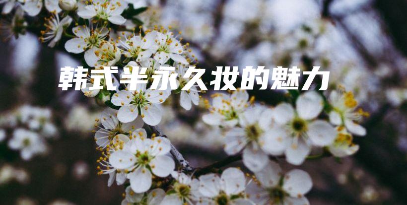 韓式半永久妝的魅力插圖